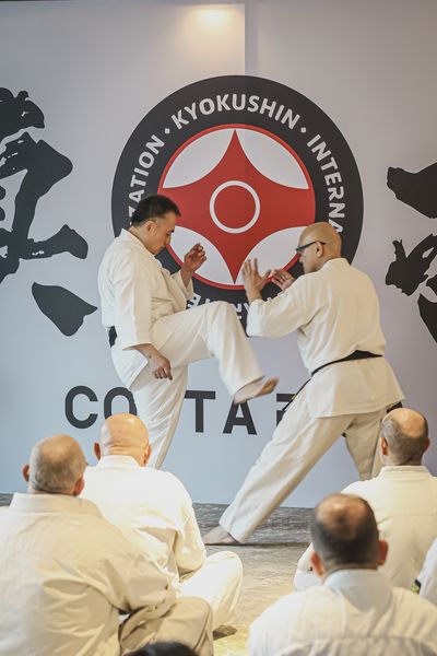 Seminario Kancho Matsui