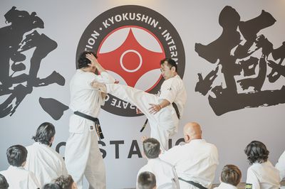 Seminario Kancho Matsui