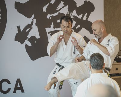 Seminario Kancho Matsui